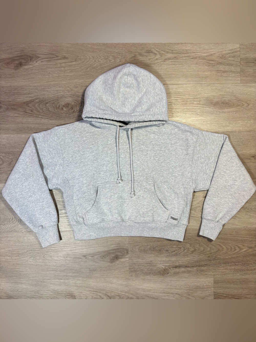 Aritzia Heather Grey Hoodie
